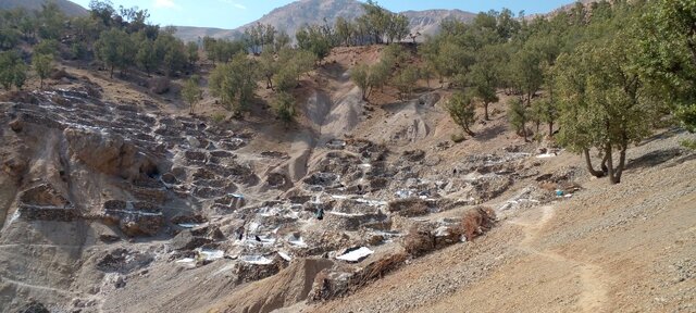 زنانی که میراثدار «نمک» هستند