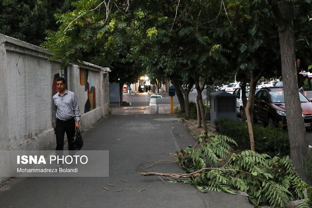 عکس آرشیوی است. پیش بینی وزش باد و خیزش گرد و خاک در تهران