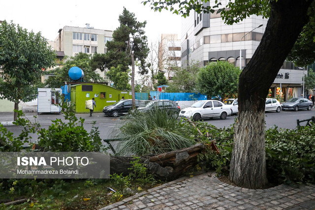 هشدار زرد رنگ هواشناسی برای وزش باد شدید در برخی استان‌ها