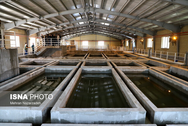 از تاکید بر راندن مدیران بیانگیزه تا امیدواری کارگران به آینده