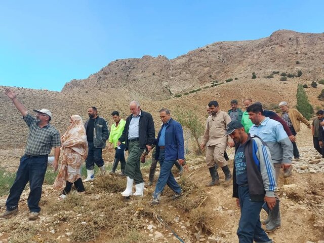 سیل فیروزکوه تلفات جانی نداشت/تلف شدن ۱۰۰ رأس گوسفند/تأمین علوفه برای کشاورزان