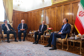 دیدار اسدالله اسدی با امیرعبداللهیان وزیر امور خارجه