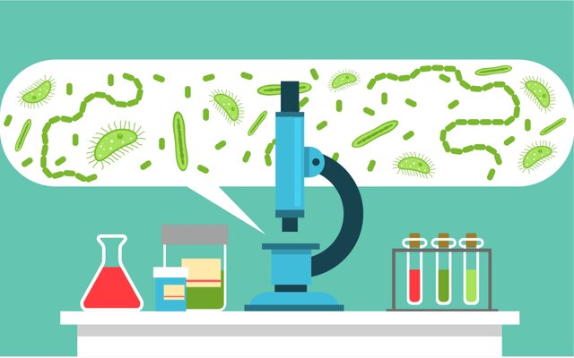 سمینار «میکروبیولوژی در زندگی روزمره» برگزار می‌شود