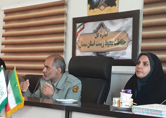 یوزها از استان سمنان خارج نمی شوند/ وجود سه گله گور ایرانی در زیستگاه احیاشده پارک ملی کویر