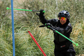 اردو انتخابی تیم ملی اسکیت آلپاین