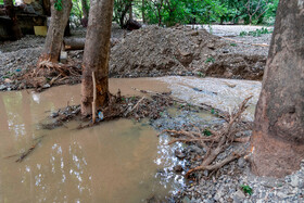 بازدید خبرنگاران از نقاط سیل‌زده جاده چالوس