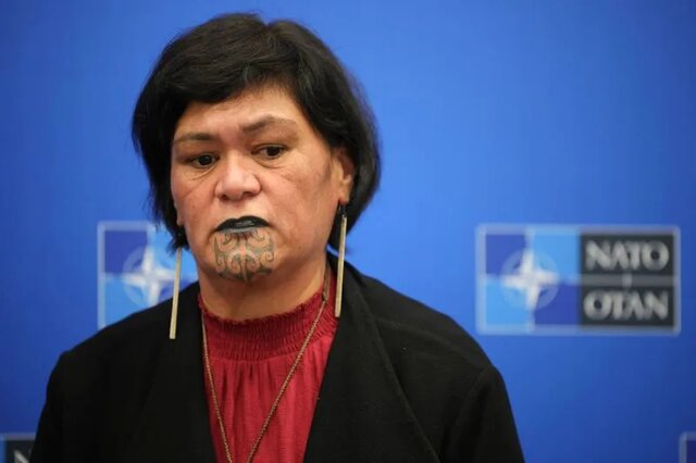 وزیر خارجه نیوزیلند نیوزیلند به دنبال شراکت جدید با ناتو