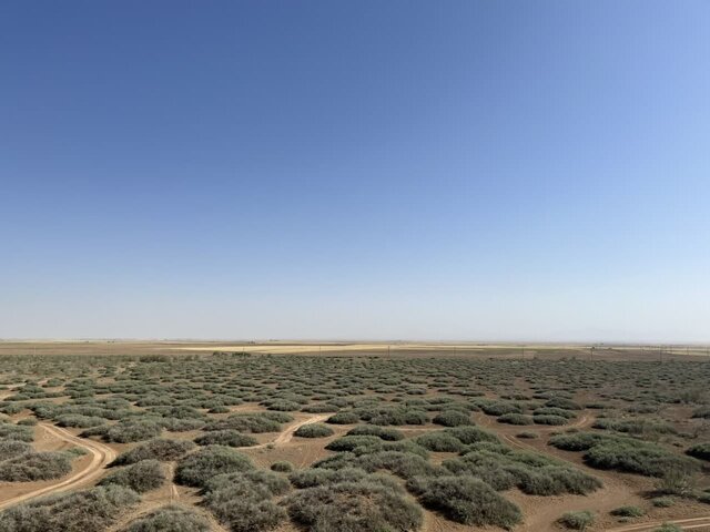 سالانه یک میلیارد هکتار به بیابانهای کشور افزوده میشود