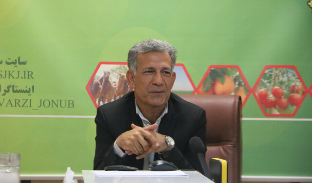 از میزان تولید سیبزمینی در جنوب کرمان تا کاهش قیمت در روزهای آینده