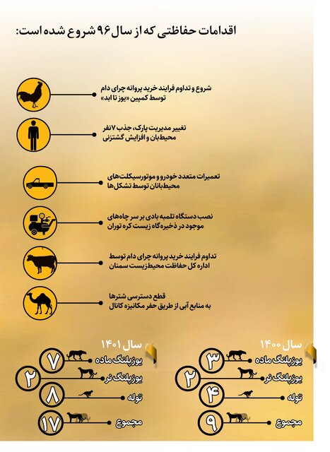 چگونه جمعیت یوزپلنگها زیاد شد؟