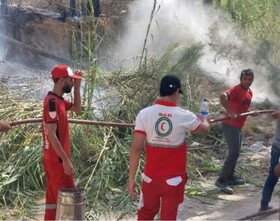 آتش‌سوزی در خائیز تنگستان سه مصدوم داشت
