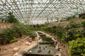 باغ گیاهان و پرندگان گرمسیری در باغ پرندگان قم بخشی از پروژه 1000 هکتاری