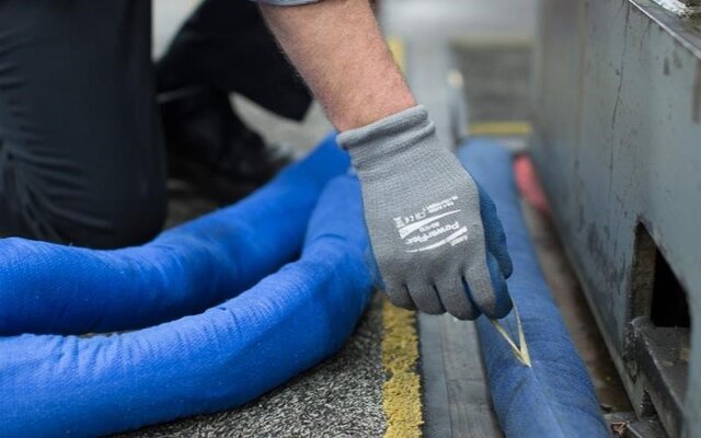 بوم جاذب نفتی