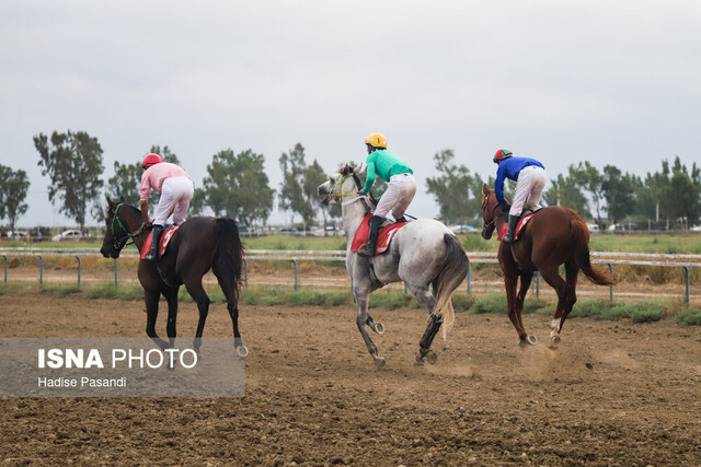 ۱۴ فدراسیون بدون رییس!/ معاونت قهرمانی چه میکند؟