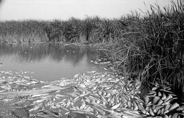 «ساسان مویدی» برای جراحی آماده میشود