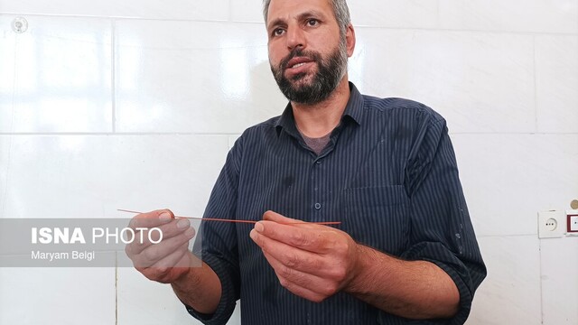 گمنامی خاتمکاران شیخشبانی!