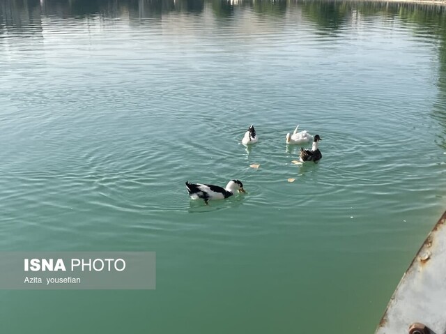 کیو، نگین زمردین شهر خرمآباد