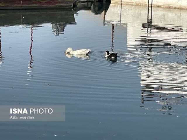 کیو، نگین زمردین شهر خرمآباد