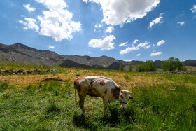 طبیعت روستاهای اطراف شهرستان قروه در فصل بهار یکی از هدف‌های گردشگری استان کردستان محسوب می‌شود. 