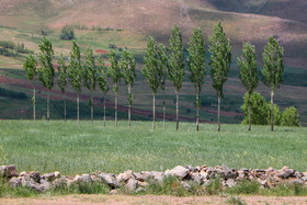 هوای استان کردستان در تابستان گرم و زمستان آن سرد است. کردستان به دلیل آب‌وهوای منحصر به فردش پتانسیل بالایی برای جذب گردشگر دارد.