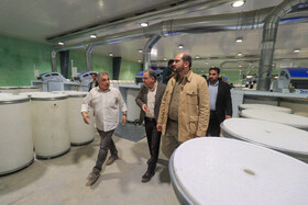 سفر معاون اجرایی رئیس جمهوری به زنجان