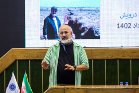 اهمیت چوب‌های خشک جنگلی از ۵۰۰ سال قبل مشخص بود