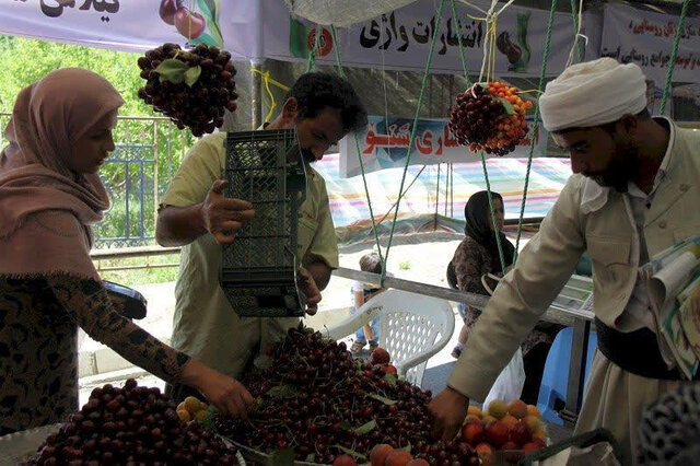 جشنواره هایی با طعم محصولات کشاورزی در آذربایجان غربی