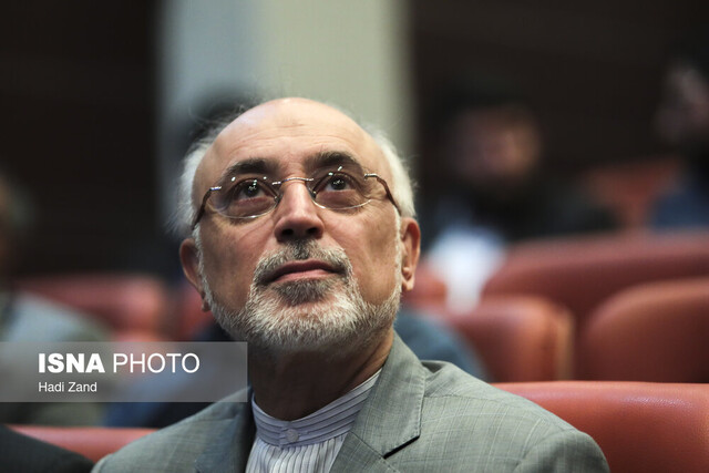 نامور مطلق: تنها آمدم و تنها میروم/ شاهحسینی: رویکردم سلیقهای نیست