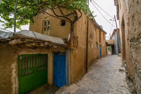 انگور یکی از اصلی‌ترین محصولات کشاورزی روستای دولاب است، این محصول در اکثر باغ‌ها و خانه‌های این روستا به چشم میخورد.