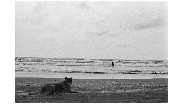 نمایشگاه اصغر فرهادی در اسپانیا