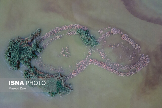 تالاب پساب یزد؛ گنجی رهاشده در کویر یا معضلی که نفس شهر را تنگ کرده است؟