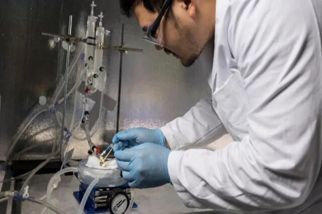 عکس تزئینی است انجام قریب ۹۰۰ عمل پیوند اعضا در شیراز از ابتدای سال جاری