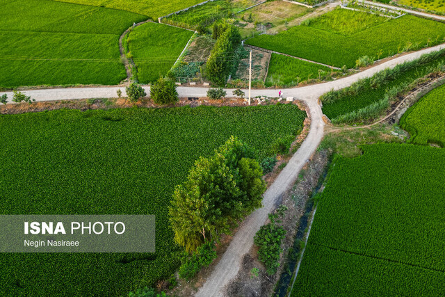 تالابهایی بدون آب