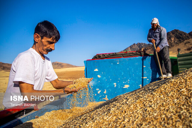 چالشهای تأمین امنیت غذایی در کشورهای در حال توسعه