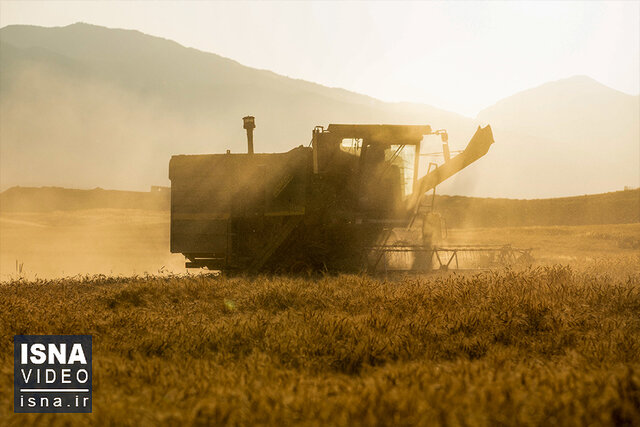 ویدیو / دامن طلایی لرستان ویدیو / دامن طلایی لرستان