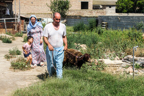 عید سعید قربان در بندر ترکمن