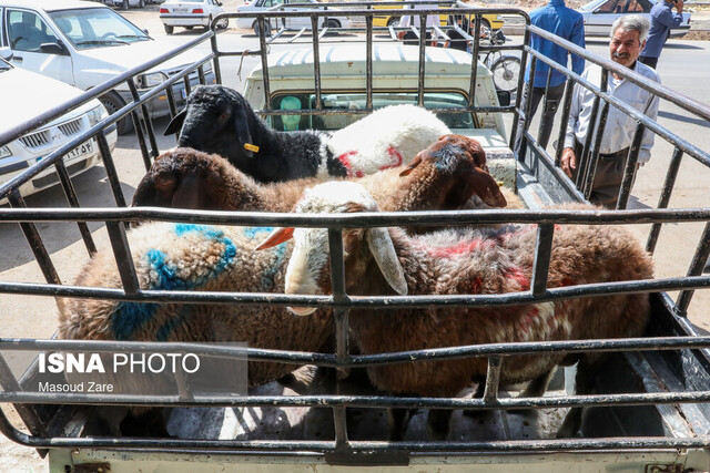 عکس تزئینی ست بهترین راه مبارزه با قاچاق کالا و ارز، تبیین و اطلاع رسانی از آثار مخرب آن است
