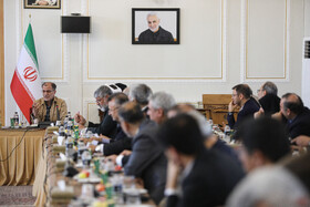 محمود خسروی وفا، رییس کمیته ملی المپیک در نشست مشترک وزیر امور خارجه و وزیر ورزش و جوانان