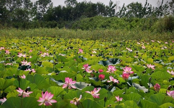 راهنمای گردشگری دیدنی‌های شمال ایران