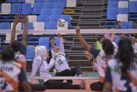 پیروزی مقتدرانه والیبال نشسته بانوان ایران مقابل کره‌ جنوبی/ شروع کار شطرنج با ۱۱ برد