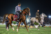 جشنواره «سواران ماد دشت» کرمانشاه ثبت ملی می‌شود