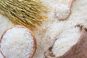 ارز برنج وارداتی نیمایی است/افزایش وارادت جهت تعادل  بازار برنج در سال گذشته