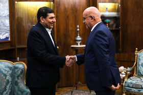 دیدار وزیر بهداشت عراق با معاون اول رئیس جمهور