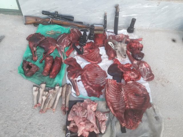 دستگیری یک گروه شکارچی در مجن شاهرود