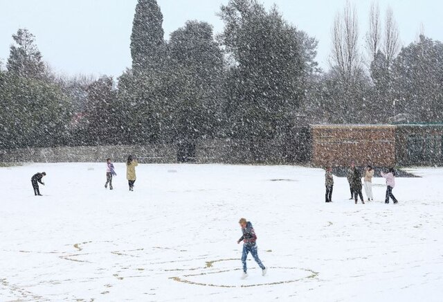 بارش کمسابقه برف در آفریقای جنوبی
