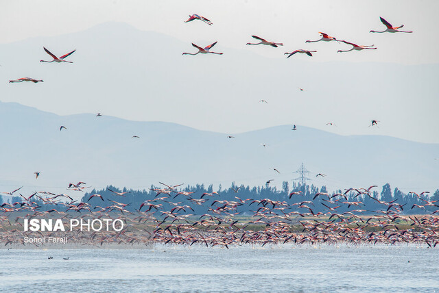 تالاب های نقده، فرصتی برای رونق اکوتوریسم