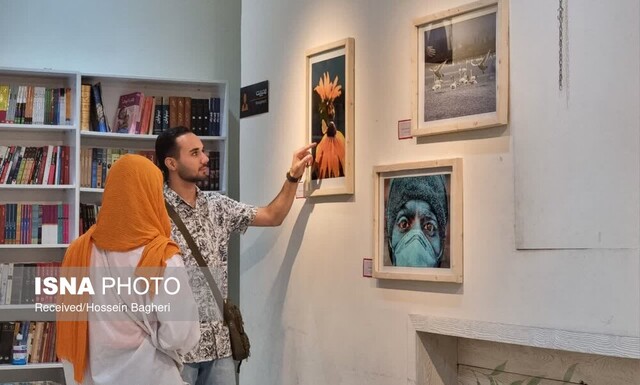 پتانسیل ویژه عکاسان خراسان شمالی برای معرفی استان/ جای خالی انجمنهای عکاسی