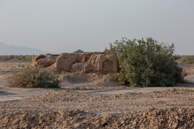 درختان گز چند ده ساله تشکیل شده در اطراف روستای «مظفرآباد مسیله»، به حفظ و بقای این خانههای متروک کمک زیادی کردهاند.