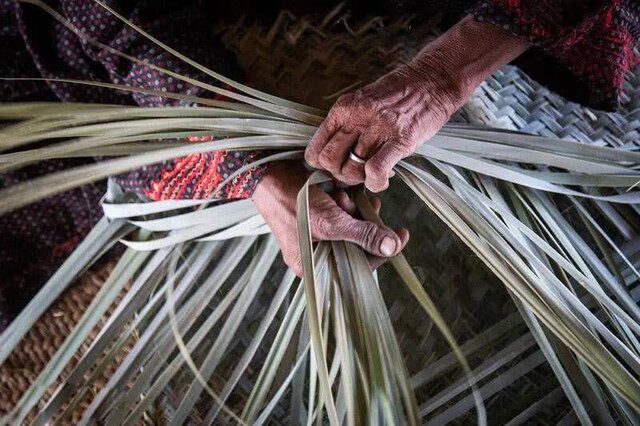 بافق، نخل، سخاوت؛ پیوند هنر و طبیعت در شهر ملی دستبافتههای حصیری