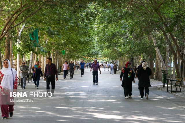 ۲۰ سال است که کسی حرف ما را گوش نمیکند/ ما دانشگاهیان چوب جادویی برای تولید آب نداریم